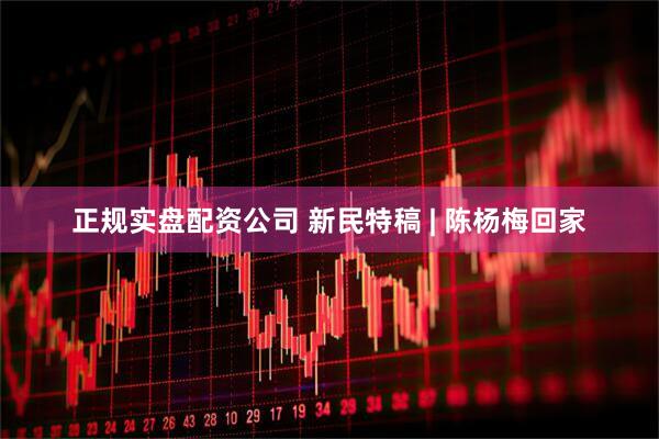 正规实盘配资公司 新民特稿 | 陈杨梅回家