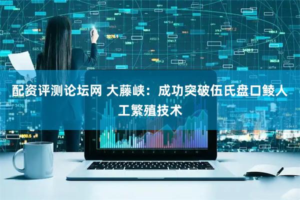 配资评测论坛网 大藤峡：成功突破伍氏盘口鲮人工繁殖技术