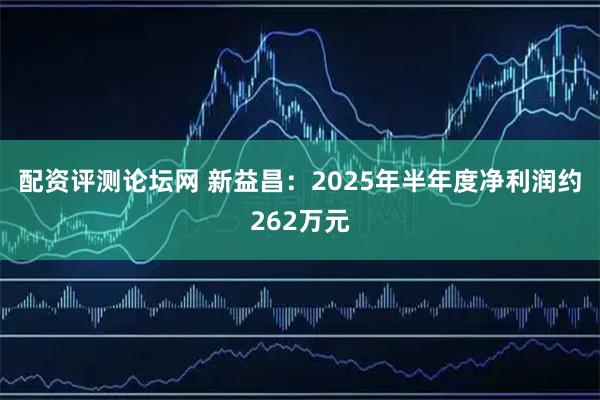 配资评测论坛网 新益昌：2025年半年度净利润约262万元