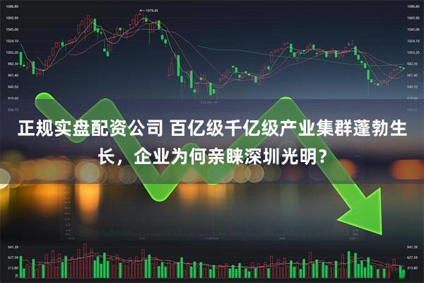 正规实盘配资公司 百亿级千亿级产业集群蓬勃生长，企业为何亲睐深圳光明？