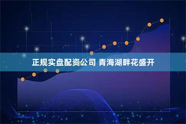 正规实盘配资公司 青海湖畔花盛开